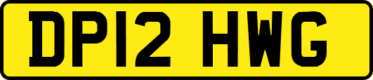 DP12HWG