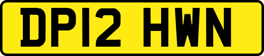 DP12HWN