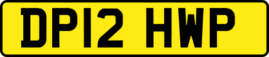 DP12HWP