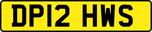 DP12HWS