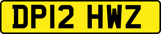 DP12HWZ