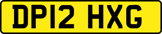 DP12HXG