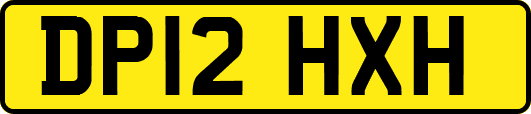 DP12HXH