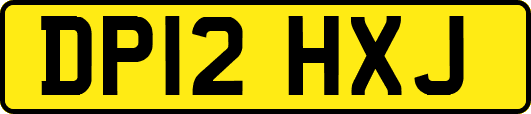 DP12HXJ