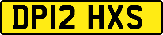 DP12HXS