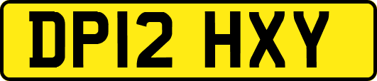 DP12HXY