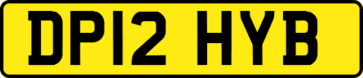 DP12HYB