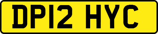 DP12HYC