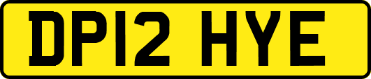 DP12HYE