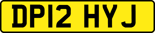 DP12HYJ