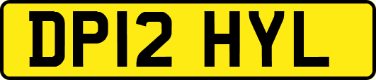 DP12HYL