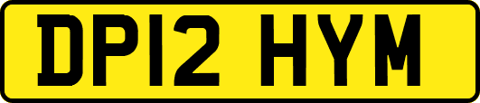DP12HYM