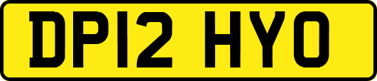 DP12HYO