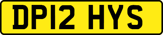 DP12HYS