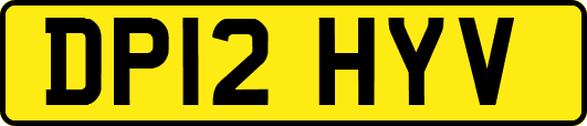 DP12HYV