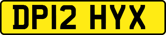 DP12HYX