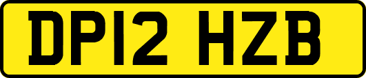 DP12HZB