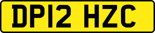 DP12HZC