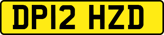 DP12HZD
