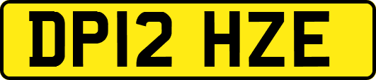 DP12HZE