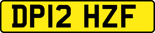 DP12HZF