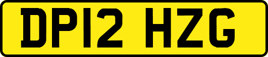 DP12HZG