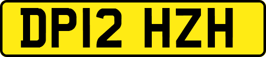 DP12HZH