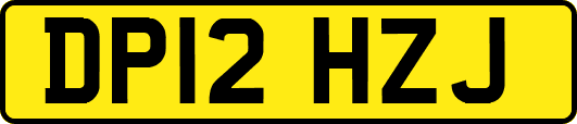 DP12HZJ