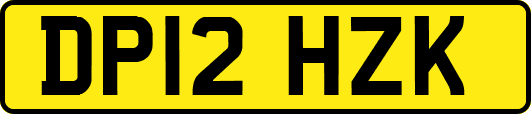 DP12HZK