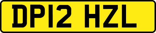 DP12HZL
