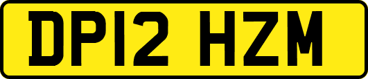 DP12HZM