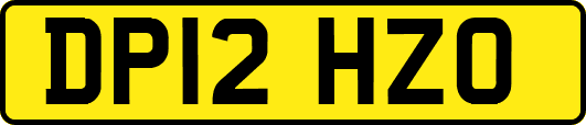 DP12HZO