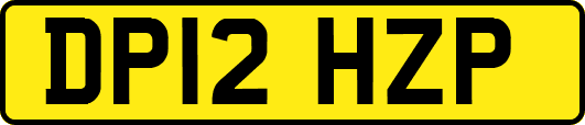DP12HZP