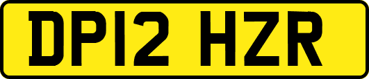 DP12HZR