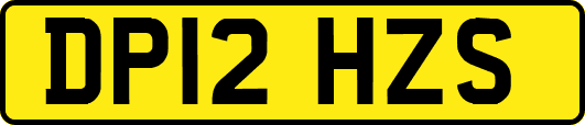 DP12HZS