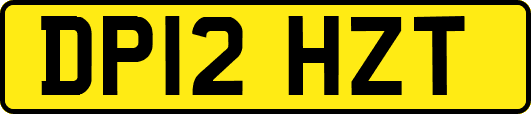 DP12HZT