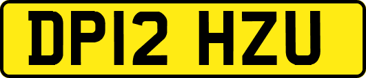 DP12HZU