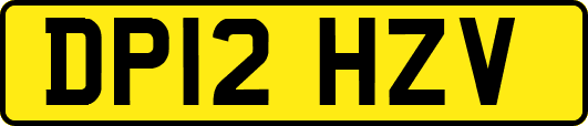 DP12HZV