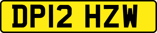 DP12HZW