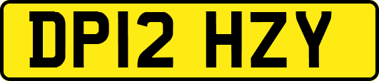 DP12HZY