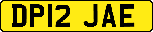 DP12JAE