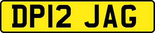 DP12JAG