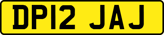 DP12JAJ