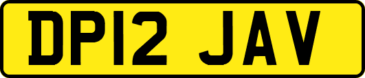 DP12JAV