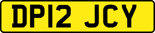 DP12JCY