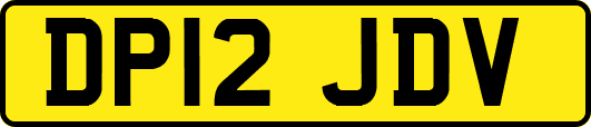 DP12JDV