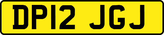 DP12JGJ