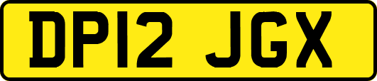 DP12JGX