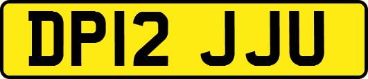 DP12JJU