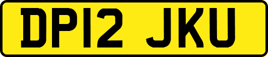 DP12JKU